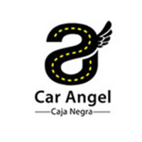 CAR ANGEL: Proyecto innovador de cajas negras para coches