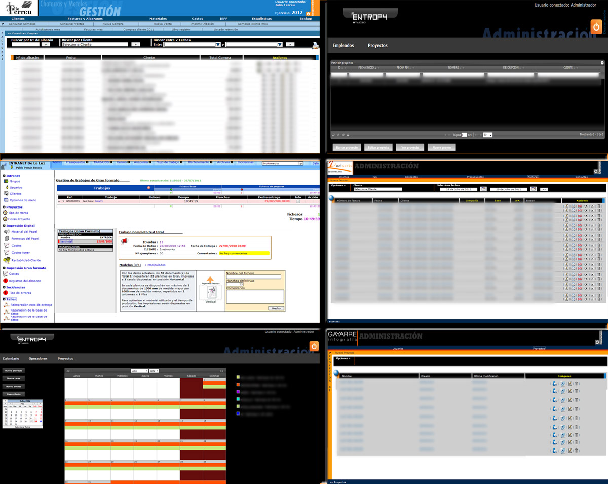 Software de gestion empresarial en cloud computing